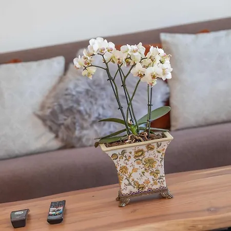 Alte Fischfabrik Moinmoin לאוטרבאך